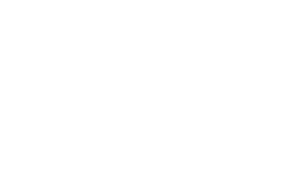 lead-img-1